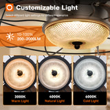 Addlon Outdoor Ceiling Fans with Lights for Patios, 20 inch Wet Rated Black Gazebo Fan with Remote, 6 Speeds, 3CCT Dimmable, Noiseless, Reversible, Plug in Caged Ceiling Fan for Pergola Canopy