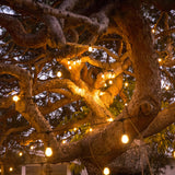 Addlon-Solar-String-Lights-Waterproof-Patio-LED-String-Lights-Outdoor-Camping-String-Lights