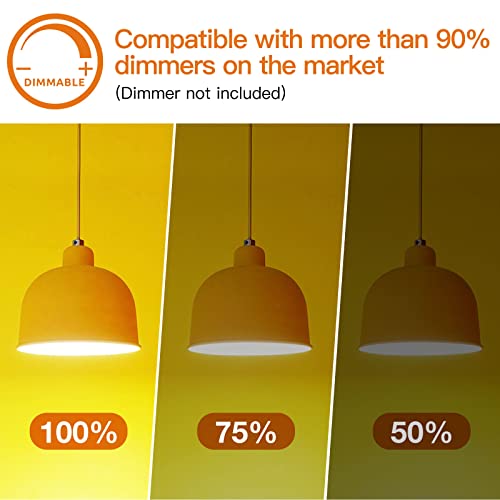 addlon LED Replacement Bulbs 1W S14 4 Pack Waterproof E17 Screw Base for Outdoor LED String Lights Shatterproof